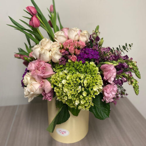 19C3D5A0-2225-4446-9170-FC03FDE01840