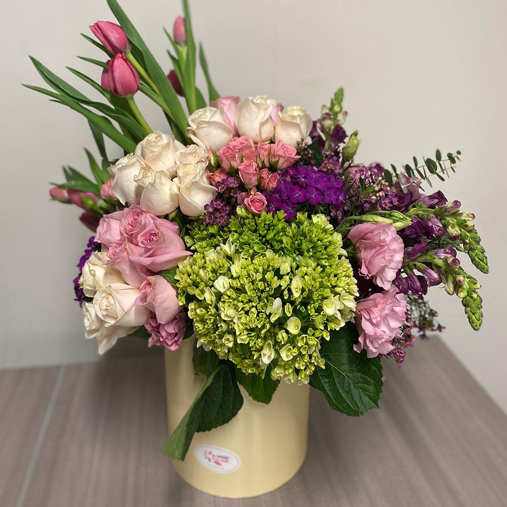 19C3D5A0-2225-4446-9170-FC03FDE01840